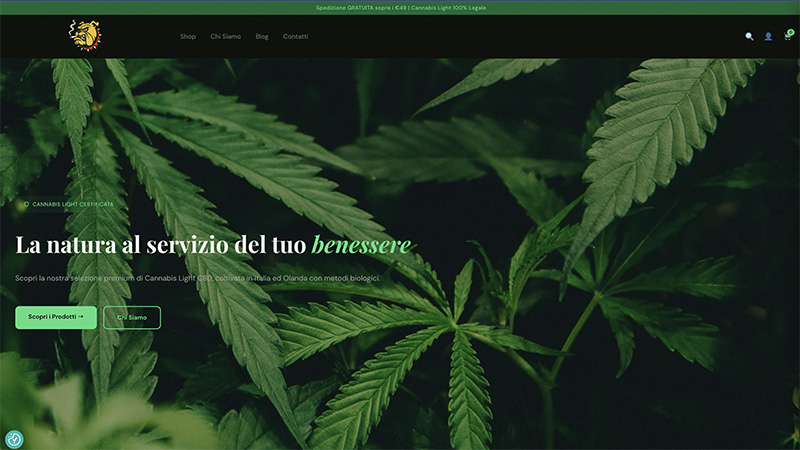 MondoInZampa — E-commerce Cannabis Light CBD - Koncept portfolio